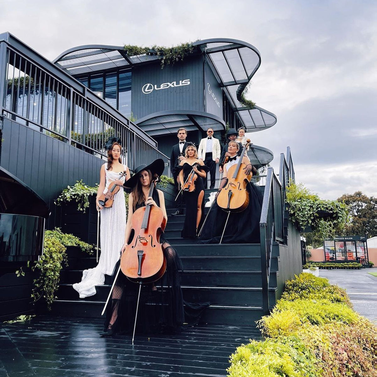 Luxe Strings 1